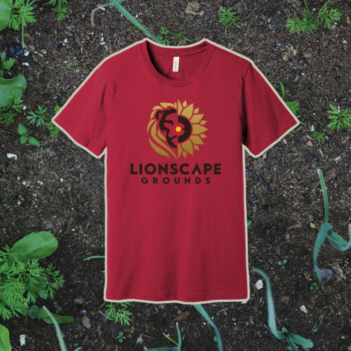 700-Short Sleeve Tee  Thumbnail