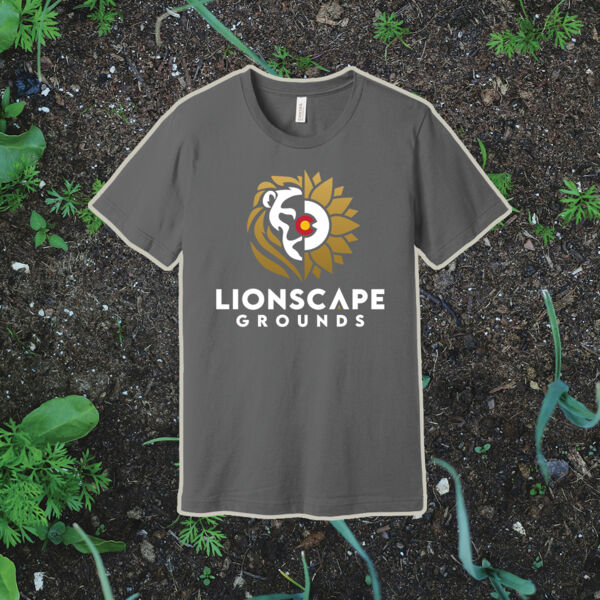 700-Short Sleeve Tee  Thumbnail