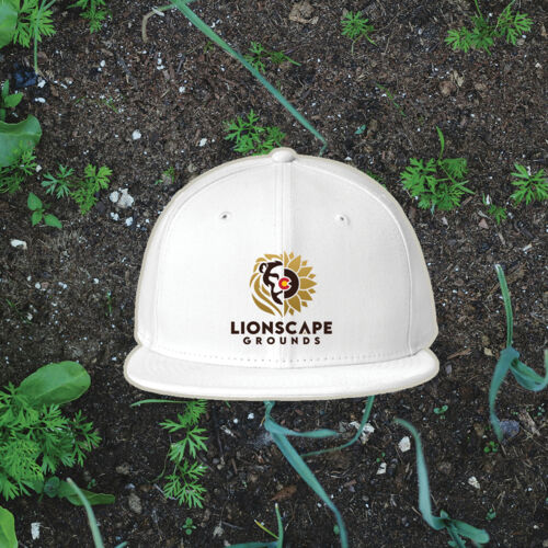 122-New Era Snapback  Thumbnail